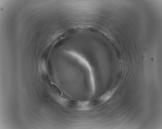 X0000072550143200607141302