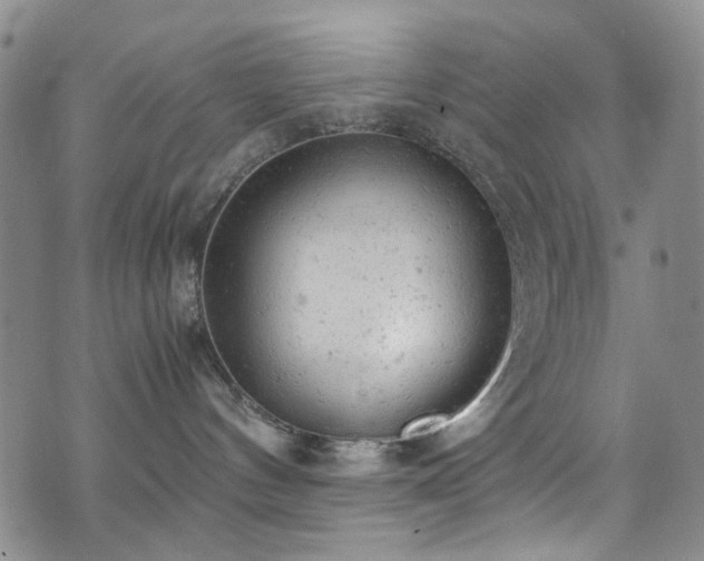 X0000072550144200607141302