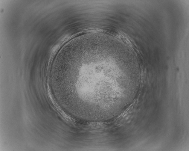 X0000072550145200607141301