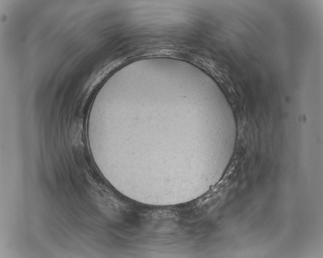 X0000072550146200607141301