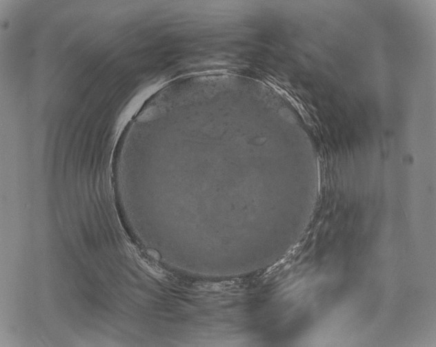 X0000072550147200607141301