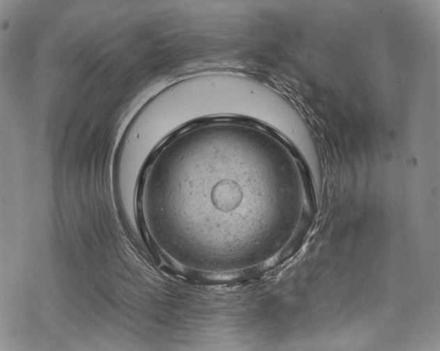 X0000072550148200607141301