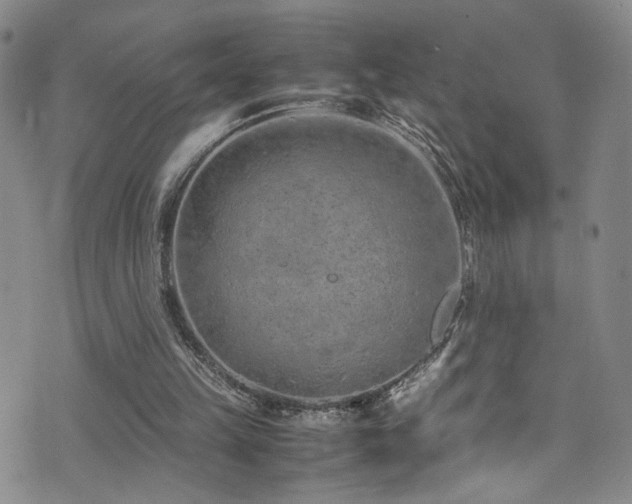 X0000072550149200607141301