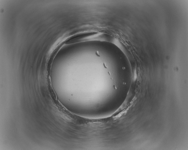 X0000072550150200607141301