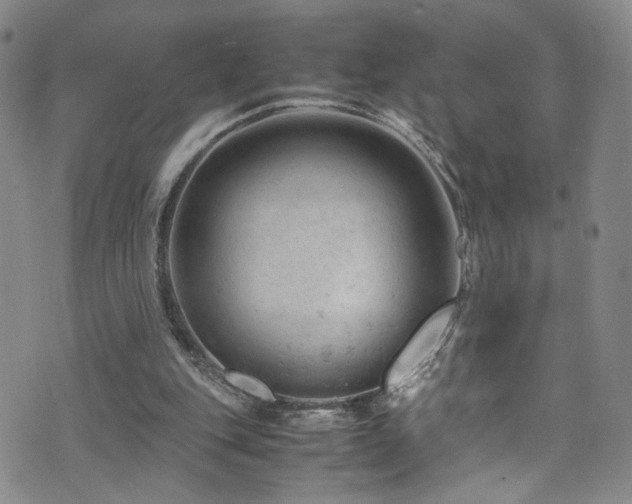 X0000072550151200607141301