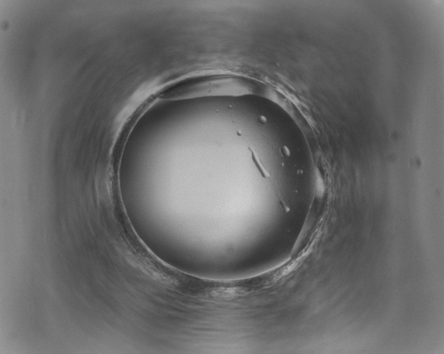 X0000072550152200607141301