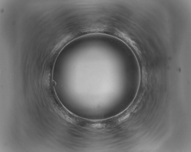 X0000072550153200607141301