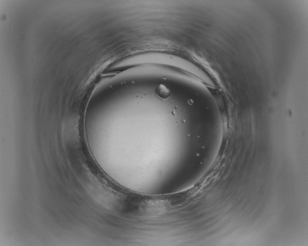 X0000072550154200607141301