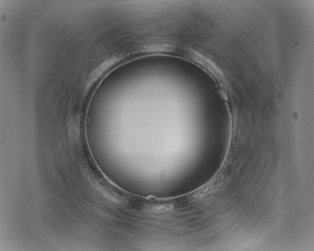 X0000072550155200607141301