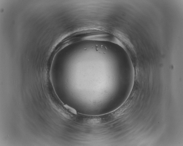 X0000072550156200607141301