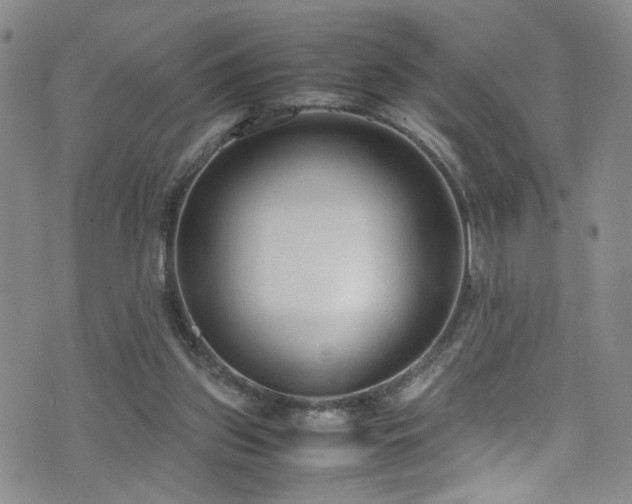 X0000072550157200607141301