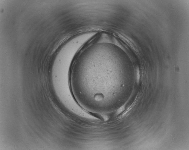 X0000072550158200607141301