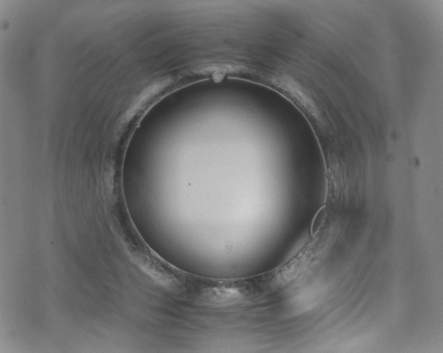 X0000072550159200607141301