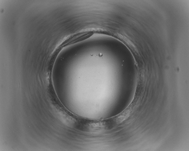 X0000072550160200607141301