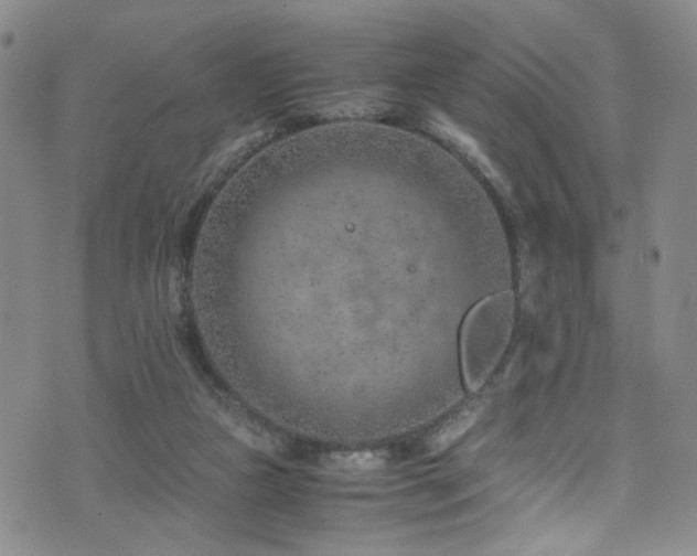 X0000072550161200607141301