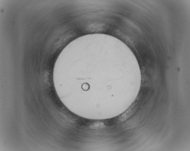 X0000072550162200607141301