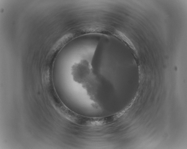 X0000072550163200607141301