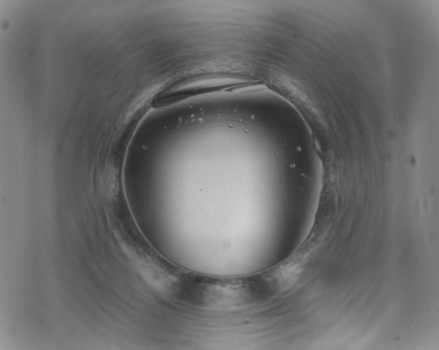 X0000072550164200607141301