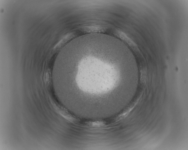 X0000072550165200607141301