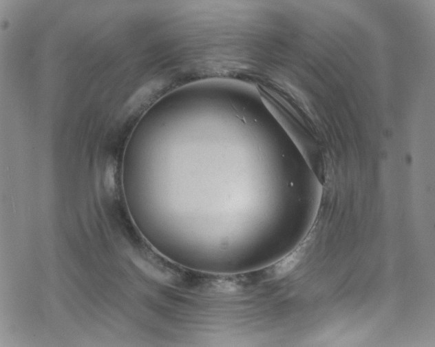 X0000072550166200607141301