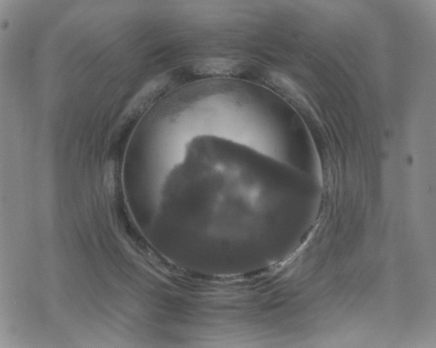 X0000072550167200607141301