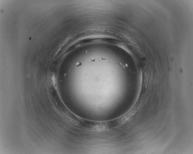 X0000072550168200607141301