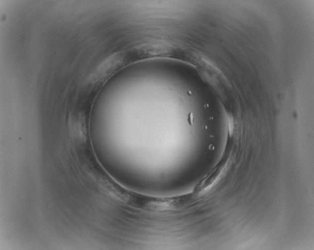 X0000072550170200607141301