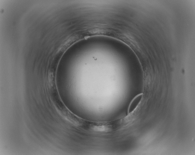 X0000072550171200607141301