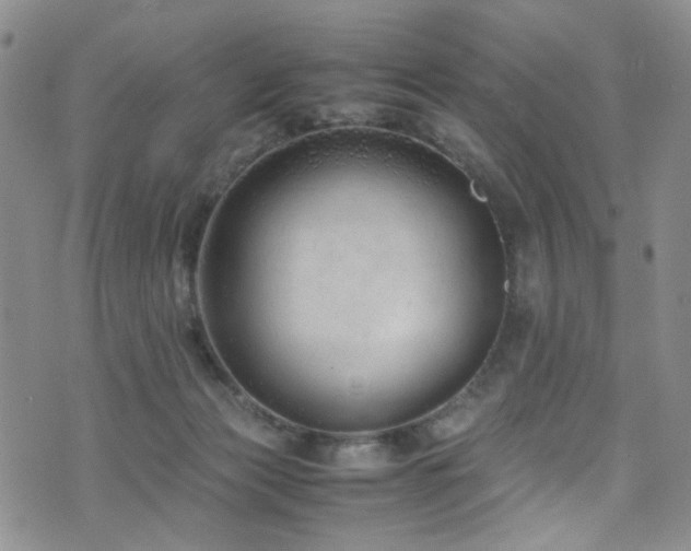 X0000072550173200607141301