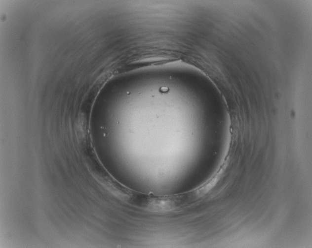 X0000072550174200607141301