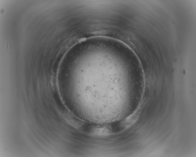 X0000072550175200607141301