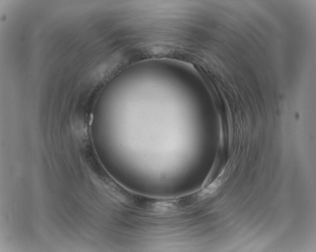 X0000072550176200607141301