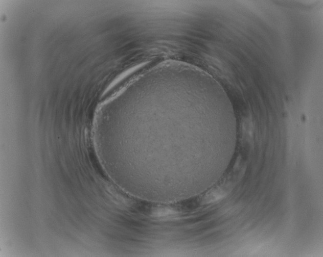 X0000072550177200607141301