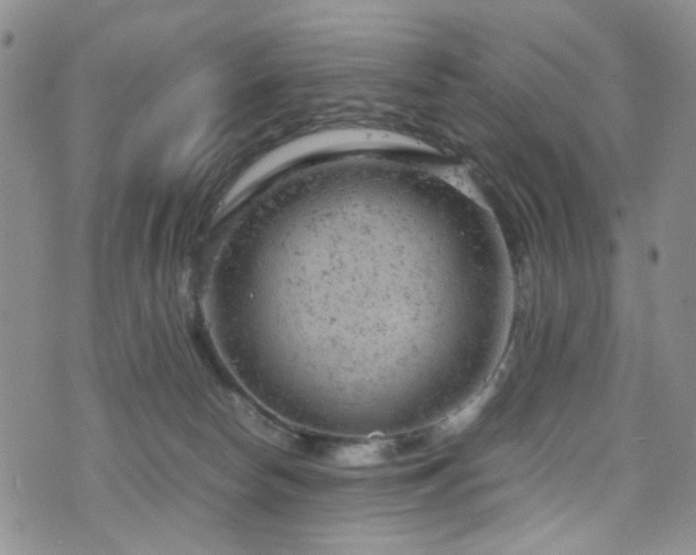 X0000072550178200607141301