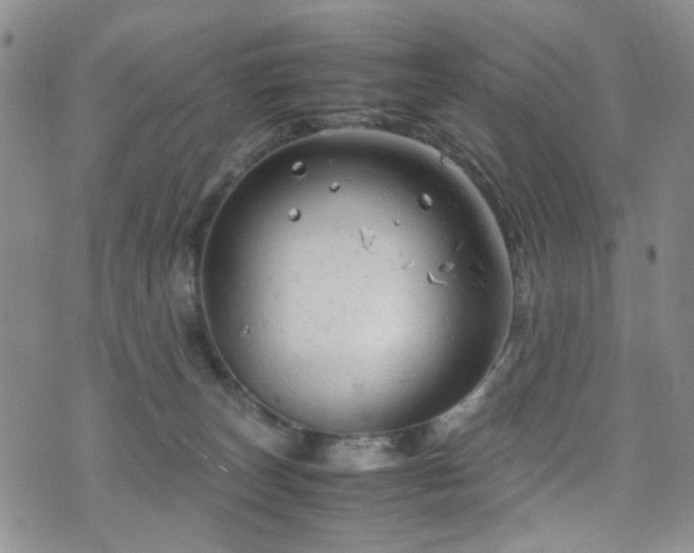 X0000072550179200607141301