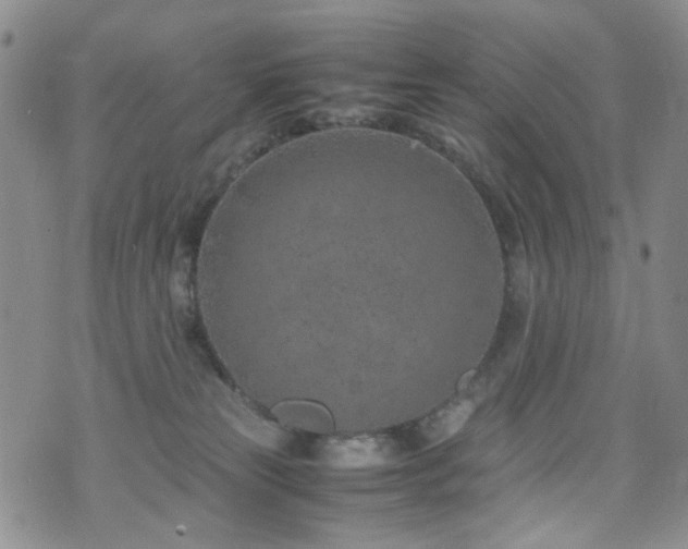 X0000072550181200607141302