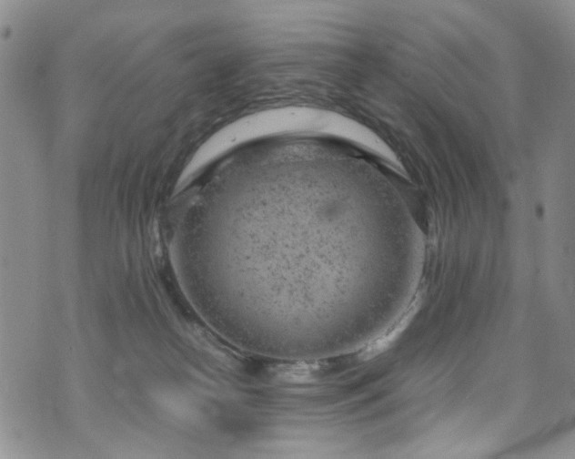 X0000072550182200607141302