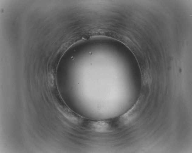 X0000072550183200607141302