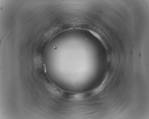 X0000072550184200607141302