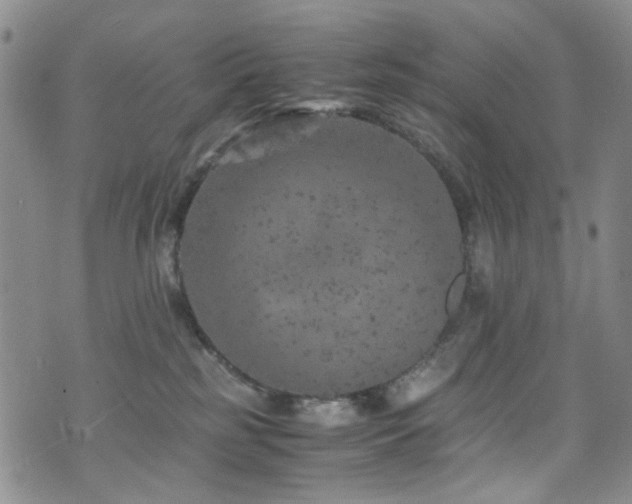 X0000072550185200607141302