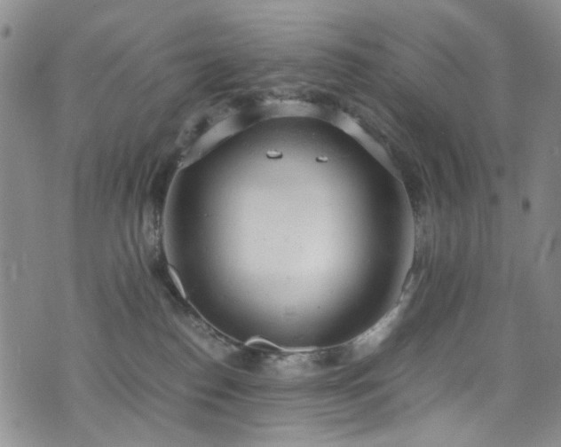 X0000072550186200607141302