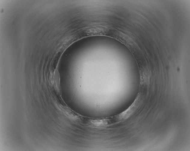 X0000072550187200607141302