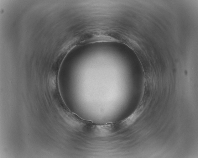 X0000072550188200607141302