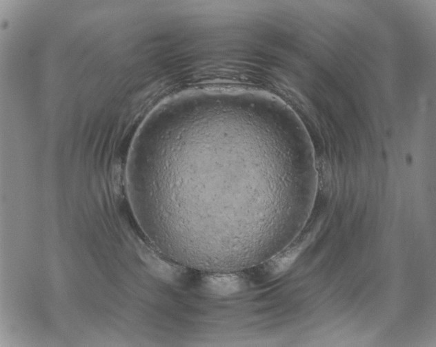 X0000072550189200607141302