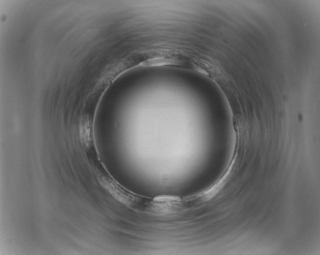 X0000072550190200607141302