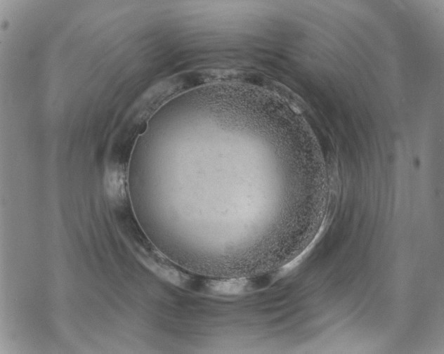 X0000072550191200607141302