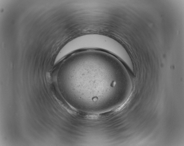 X0000072550192200607141302