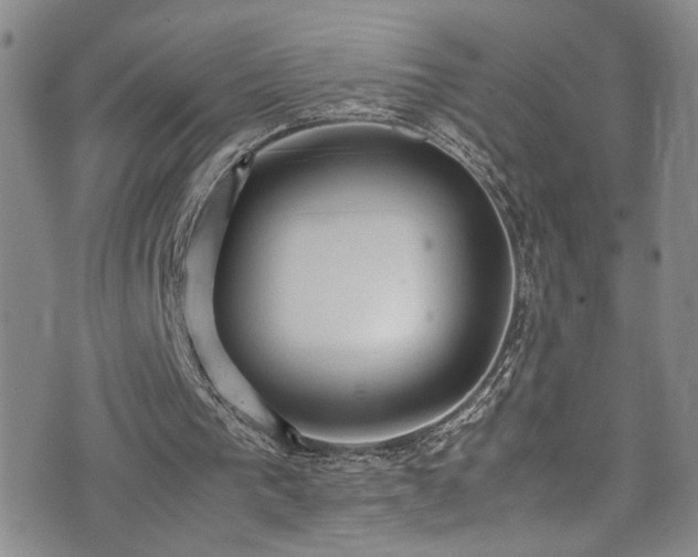 X0000072550193200607141301