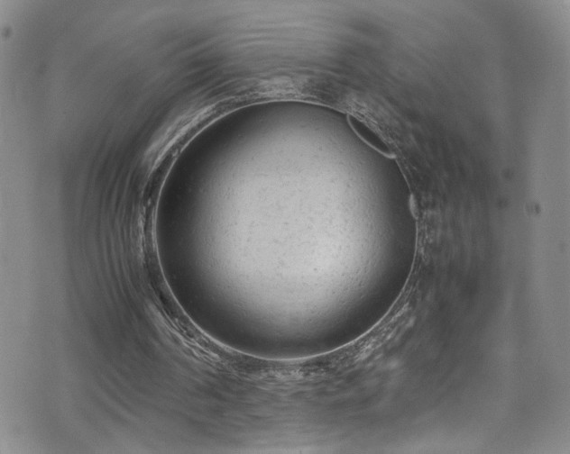 X0000072550194200607141301