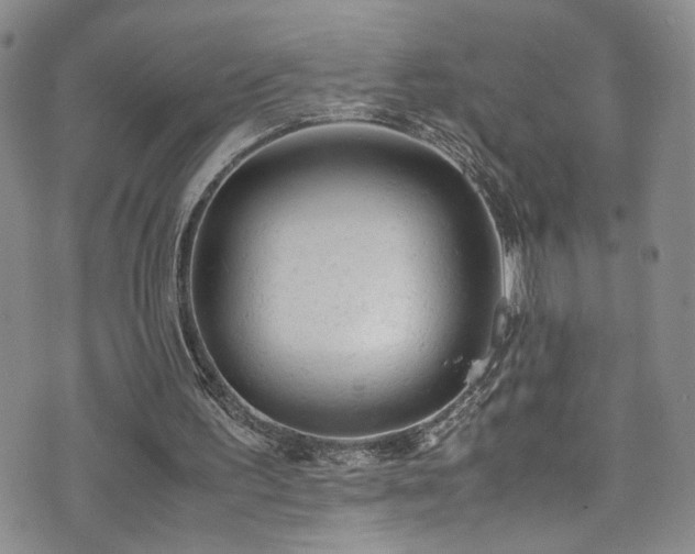 X0000072550195200607141301